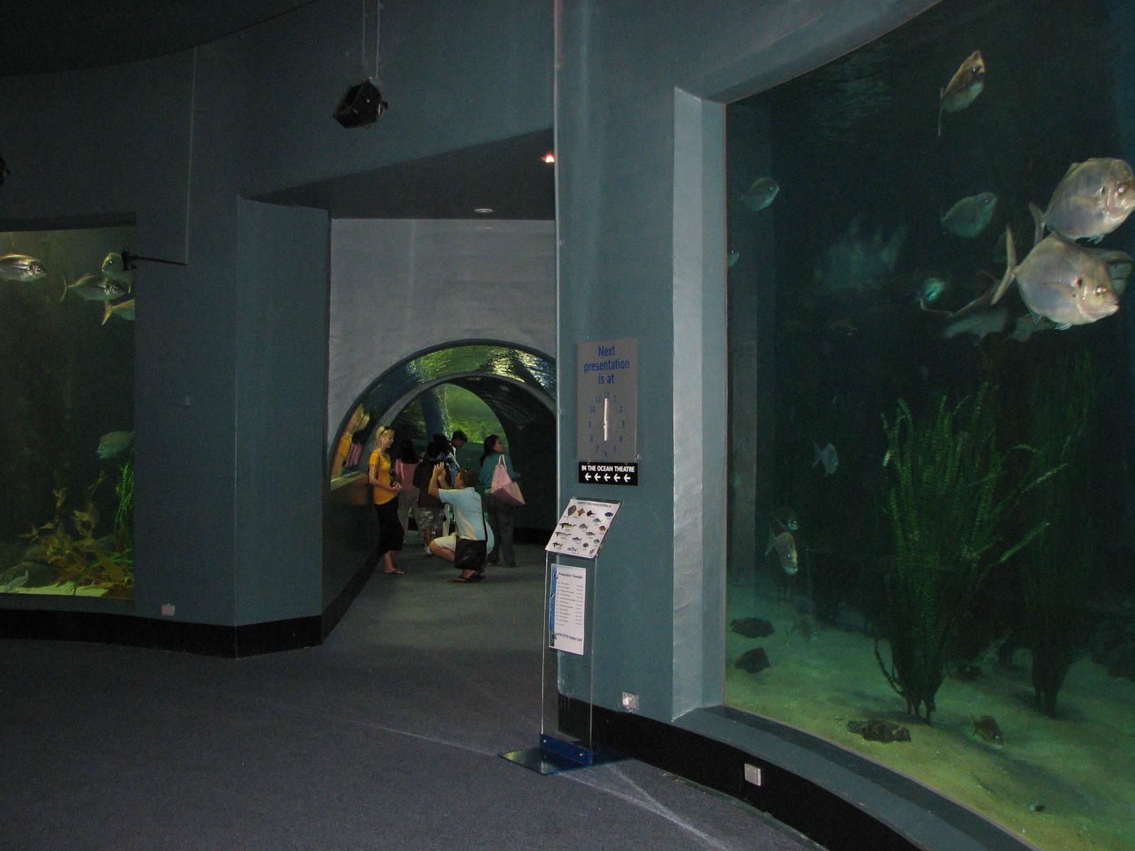 Melbourne Aquarium - General view