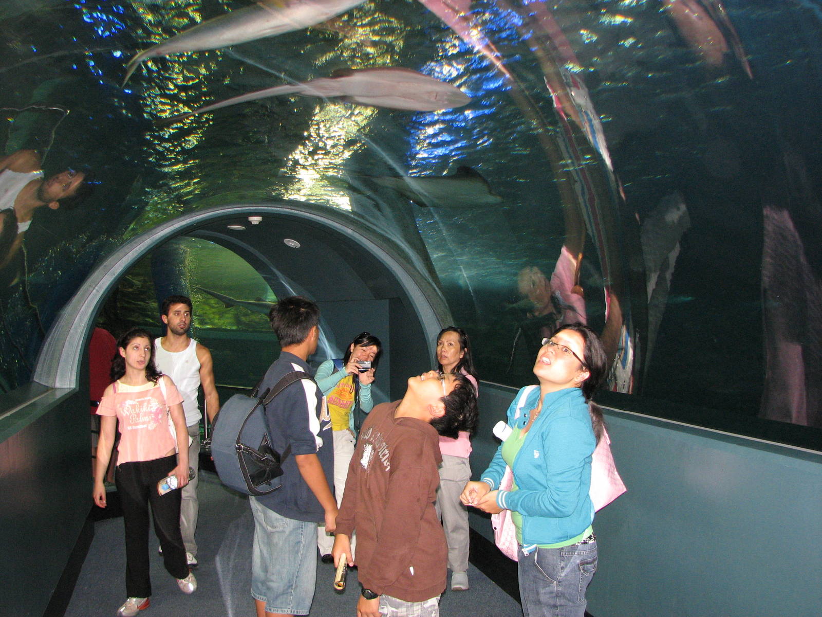 Melbourne Aquarium - General view