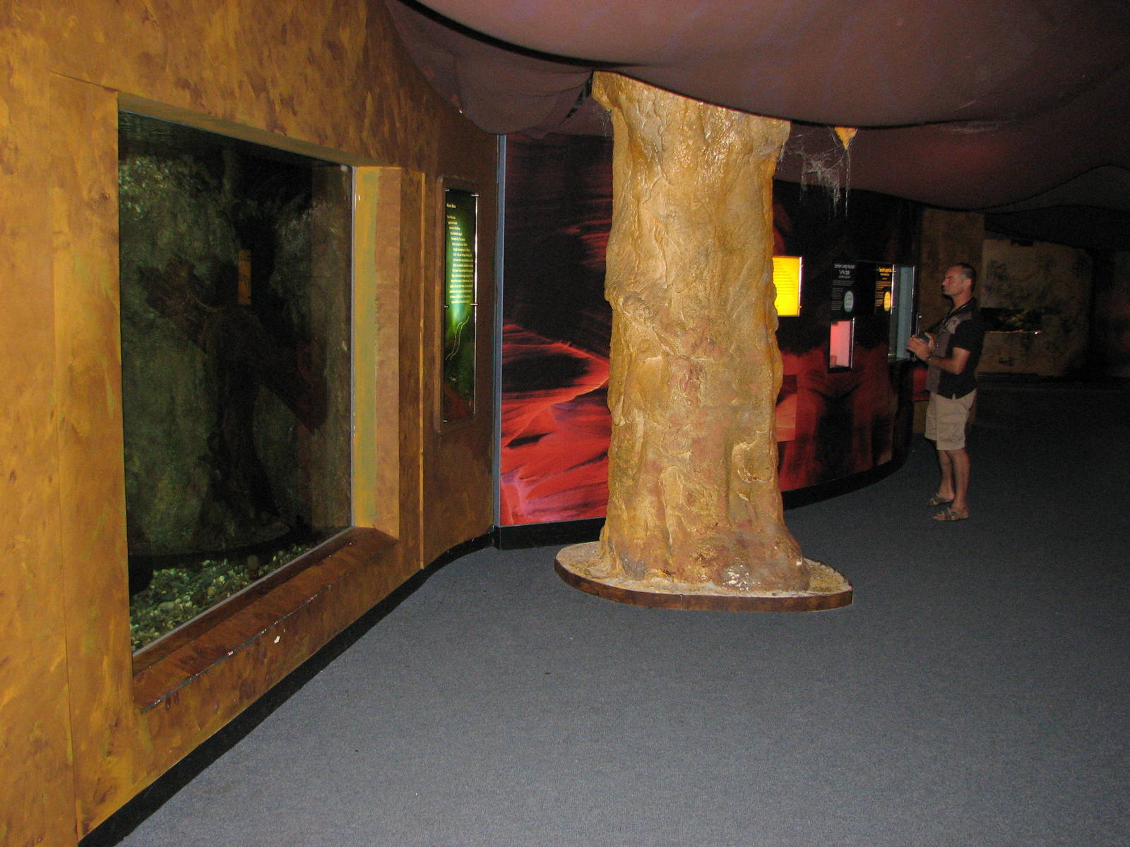 Melbourne Aquarium - General view