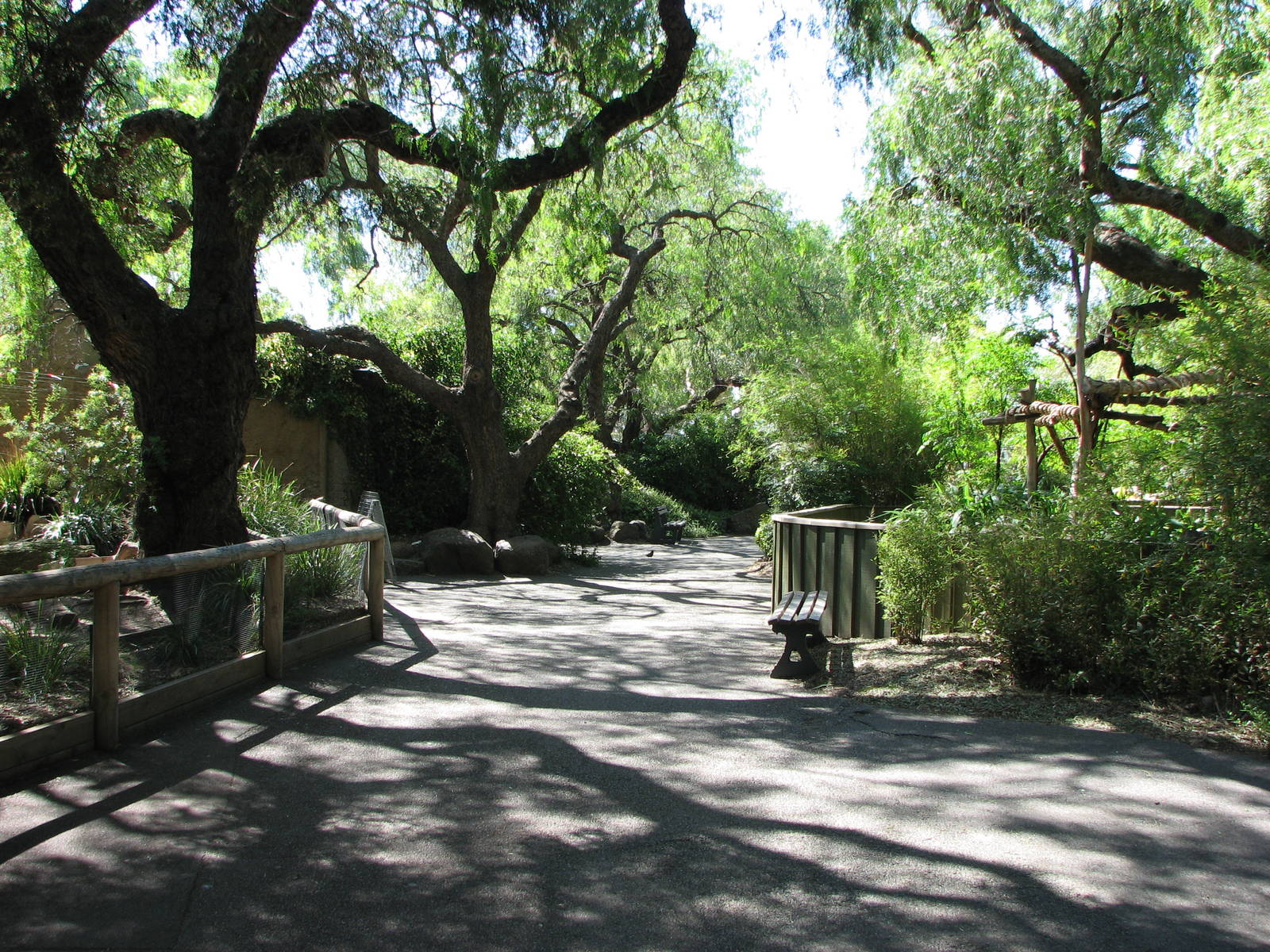 Melbourne Zoo 2008 - Fairy Penguin and Red Panda exhibits
