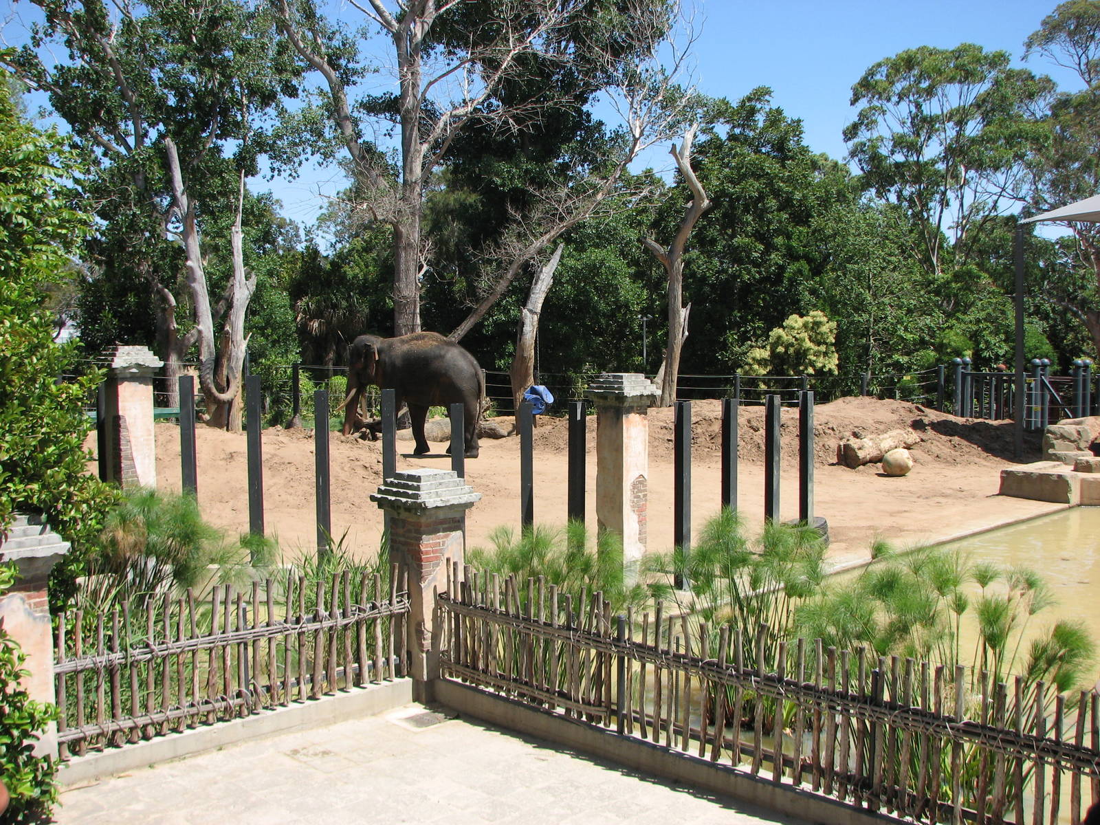 Melbourne Zoo 2008 - Front of an Elephant exhibit