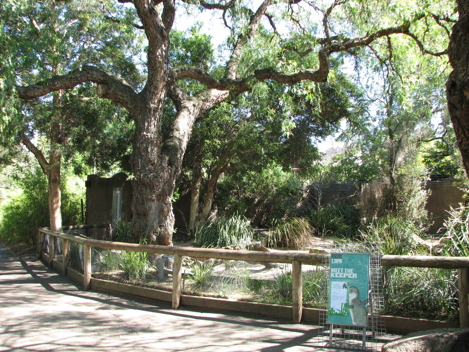 Melbourne Zoo 2008 - Front of the Fairy Penguin exhibit