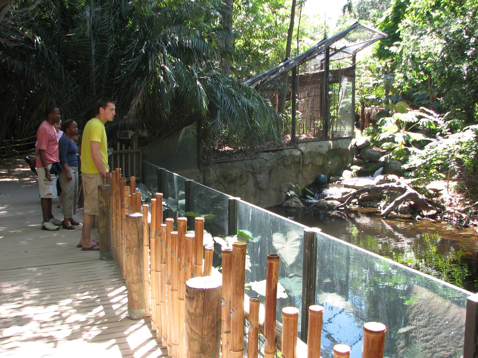 Melbourne Zoo 2008 - Front of the Sumatran Tiger exhibit