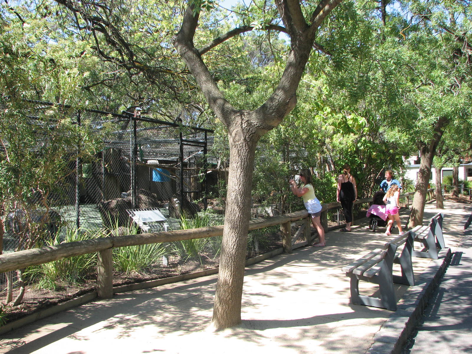 Melbourne Zoo 2008 - Front view of the Baboon enclosure