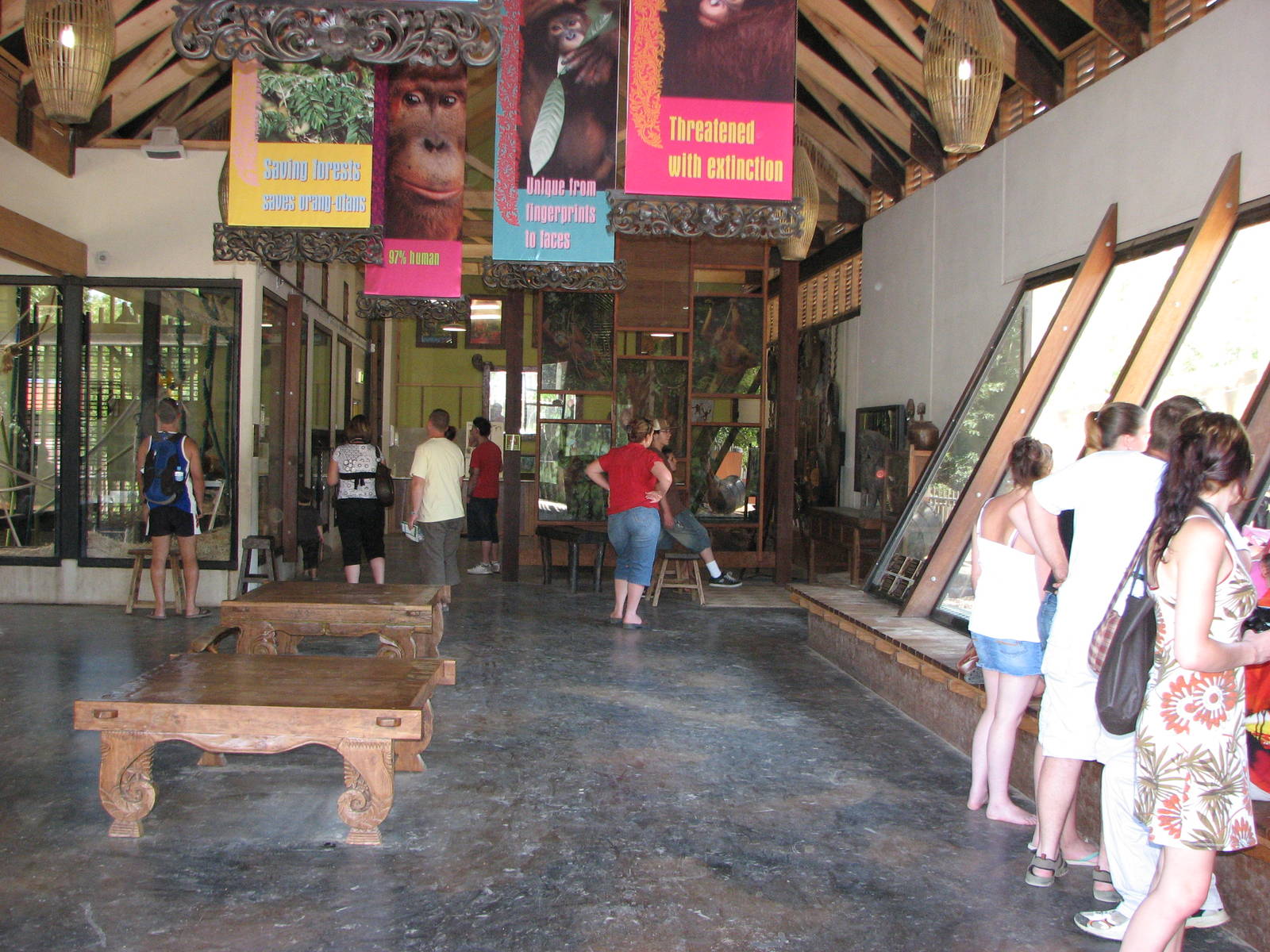 Melbourne Zoo 2008 - Inside the Orangutan Sanctuary house