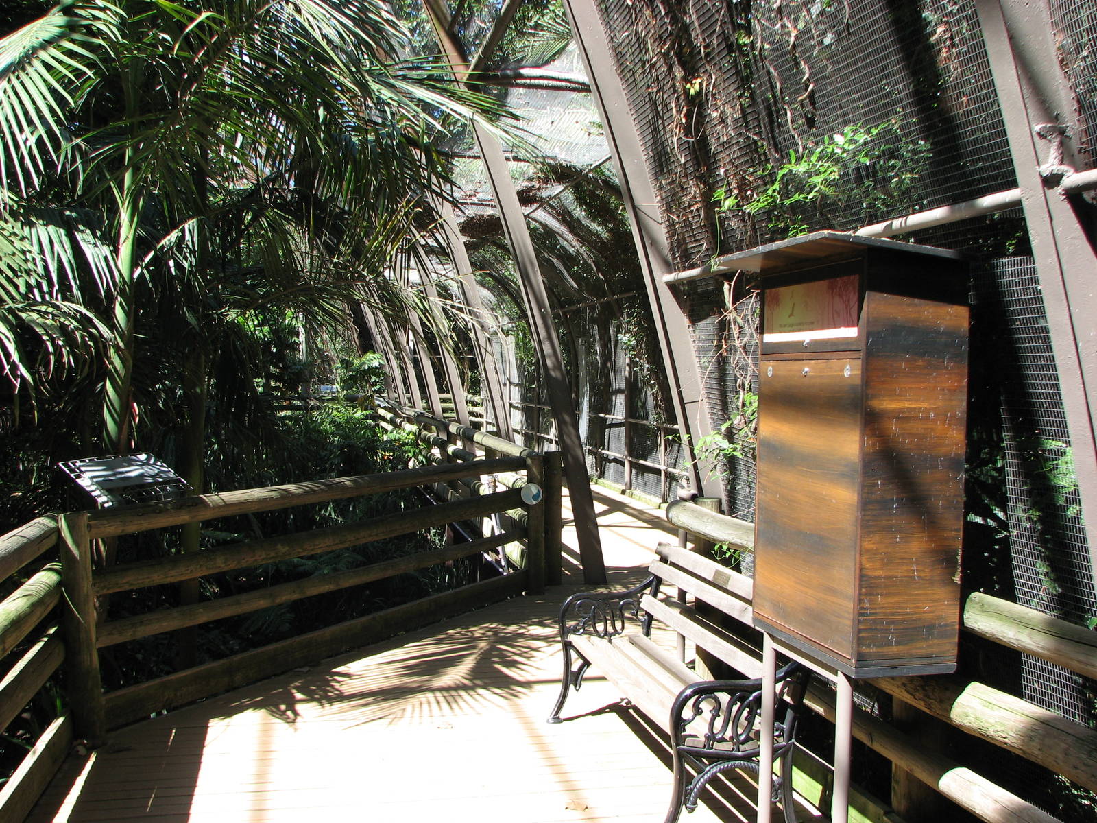 Melbourne Zoo 2008 - Inside the walk-through aviary