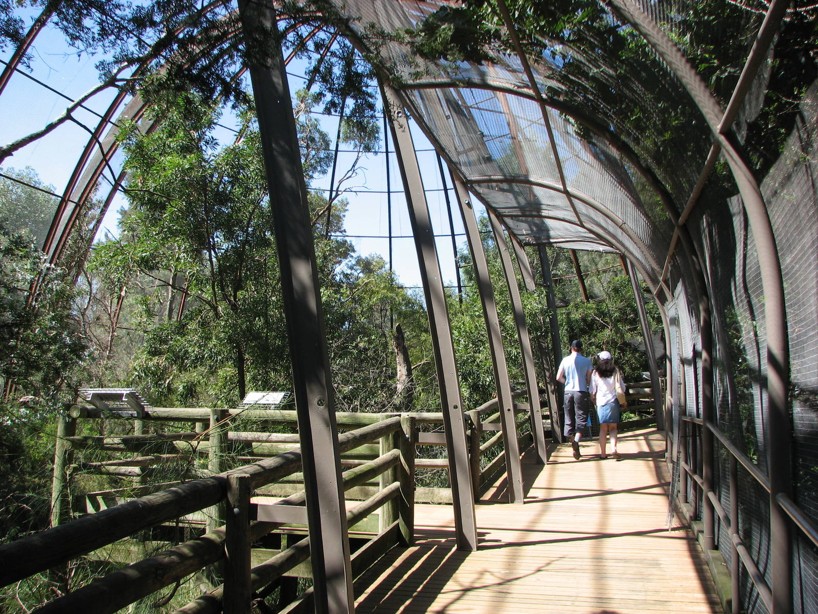 Melbourne Zoo 2008 - Inside the walk-through aviary