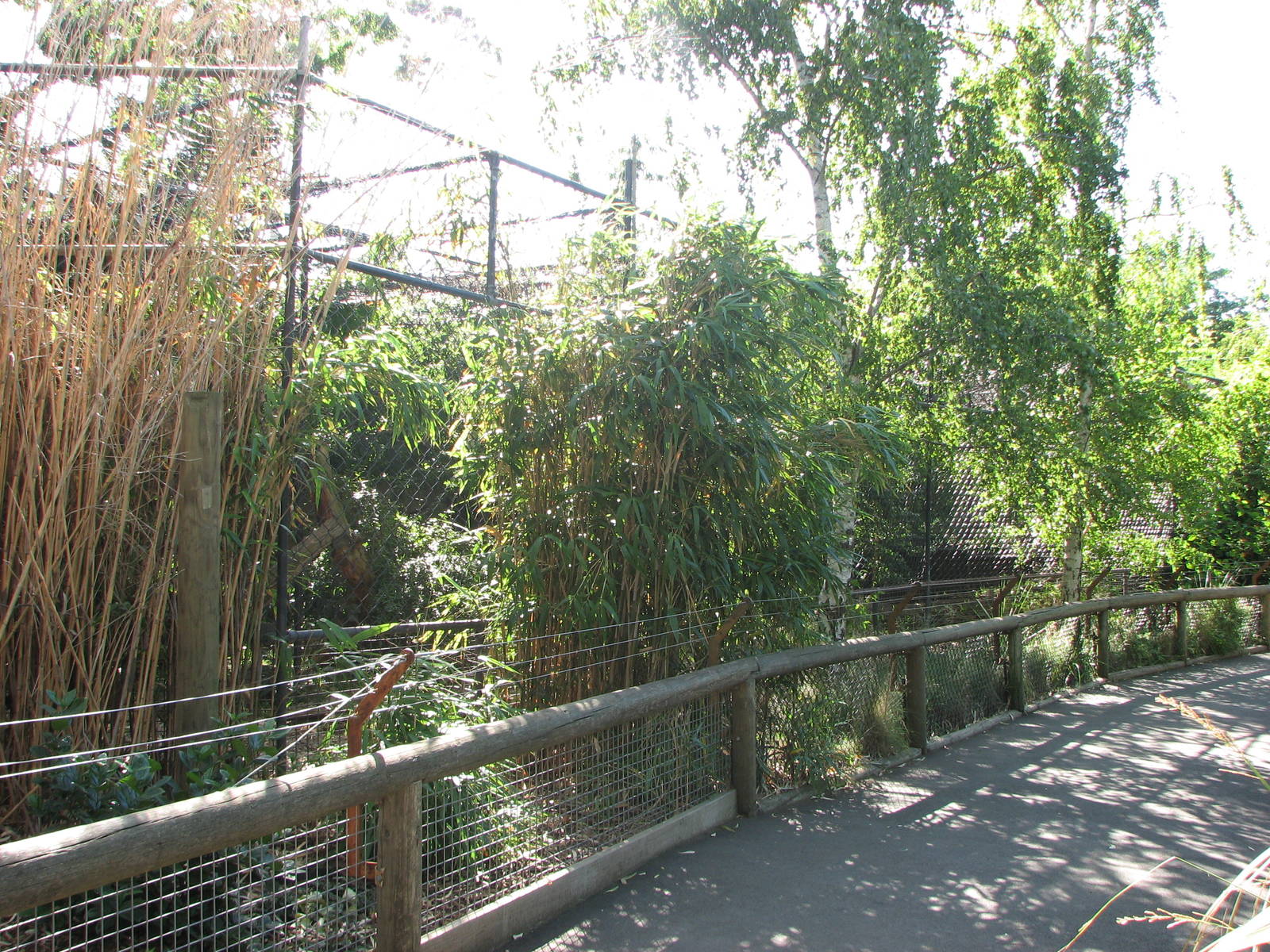 Melbourne Zoo 2008 - One of the Feline enclosures
