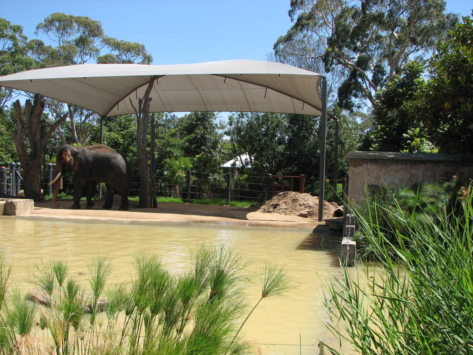 Melbourne Zoo 2008 - Part of an Elephant exhibit