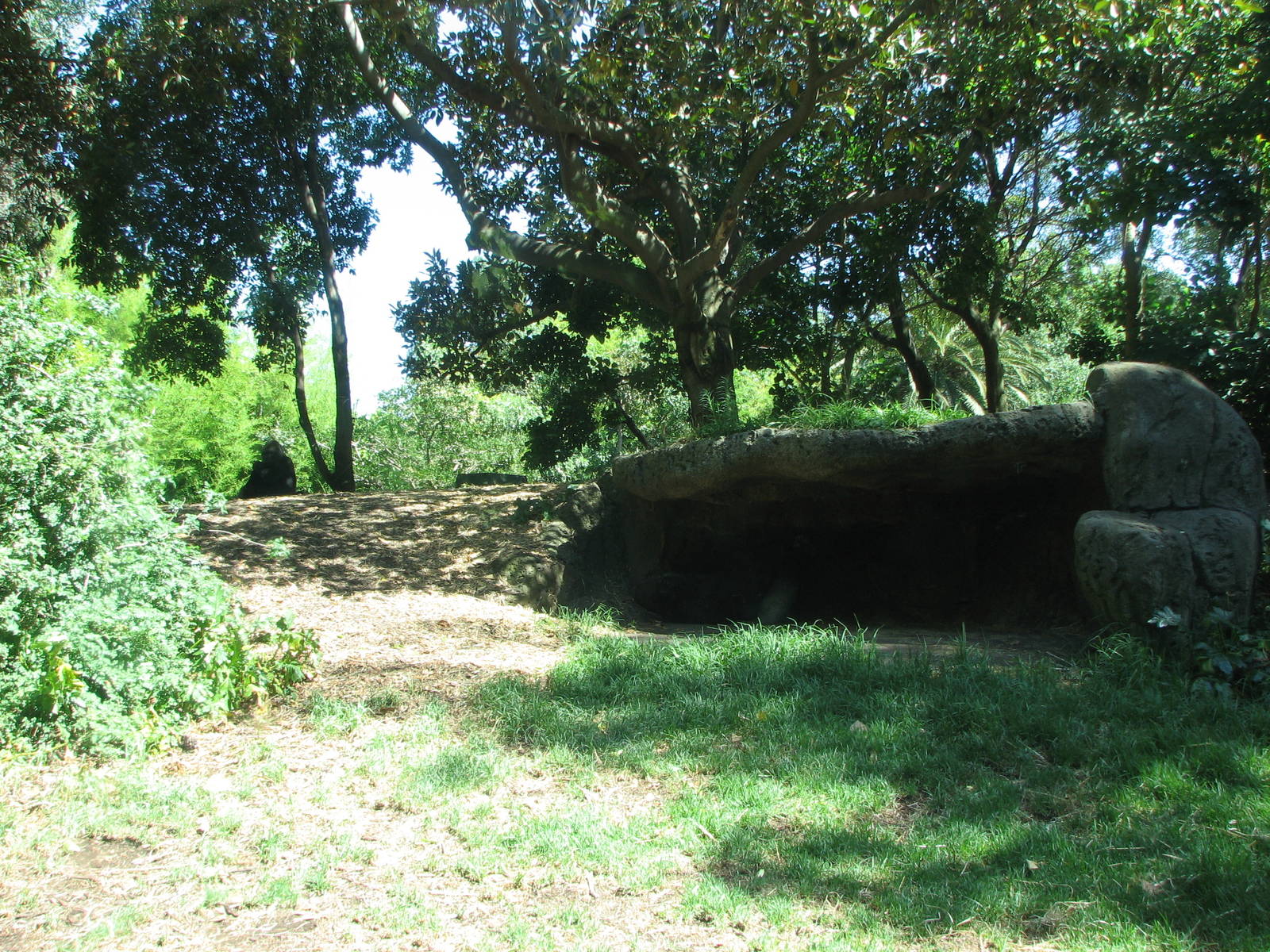 Melbourne Zoo 2008 - Part of the Gorilla exhibit