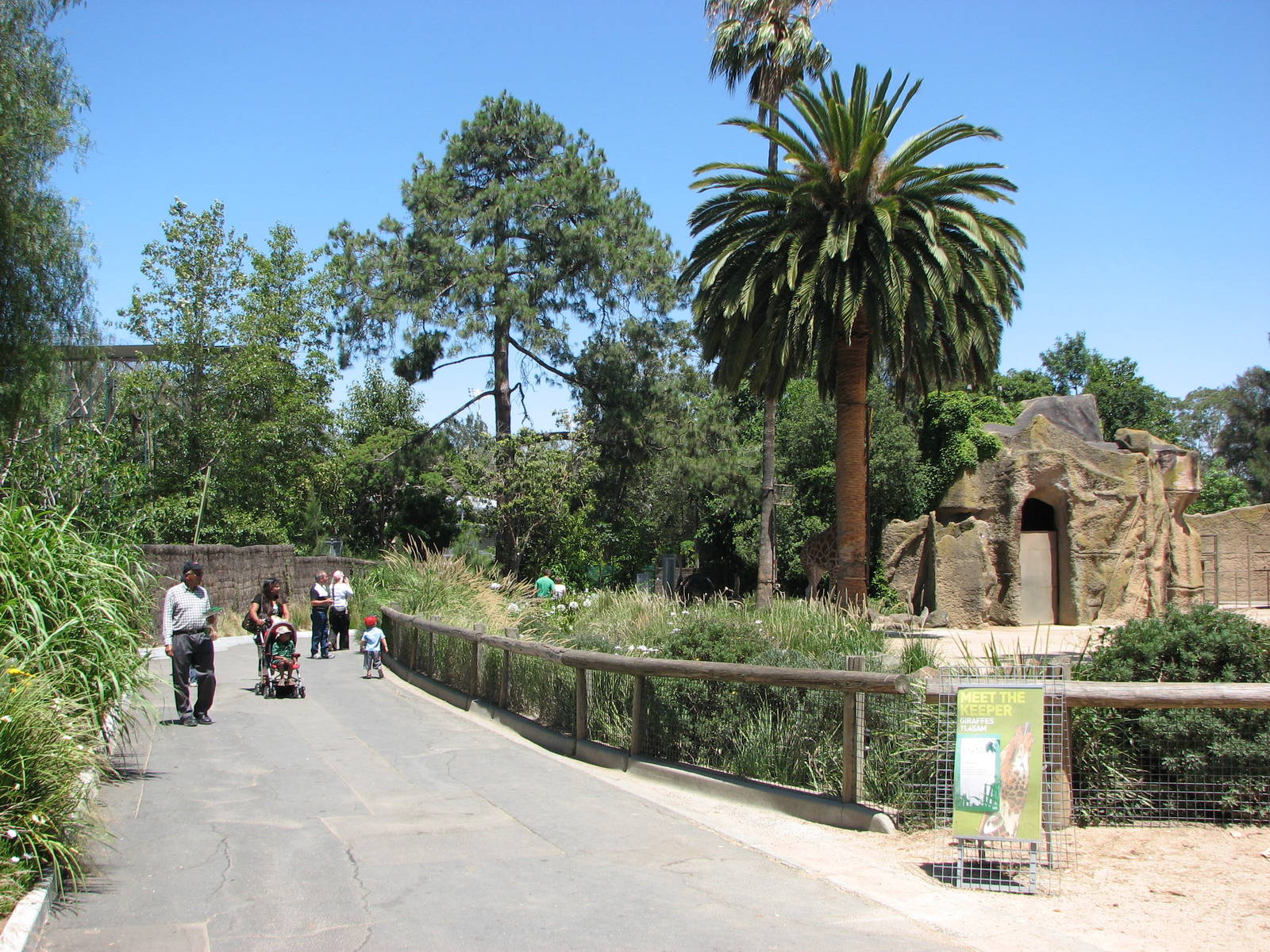 Melbourne Zoo 2008 - Pathway in front of the giraffe exhibit