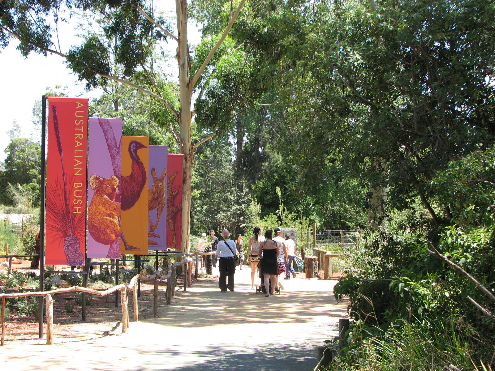 Melbourne Zoo 2008 - Pathway in the Australian Bush area