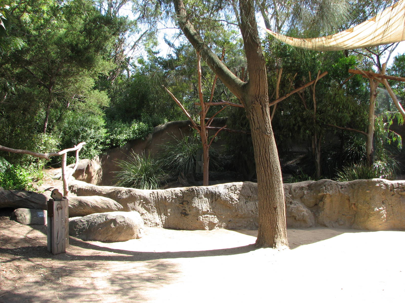Melbourne Zoo 2008 - Short-beaked Echidna exhibit in the Australian Bush ar