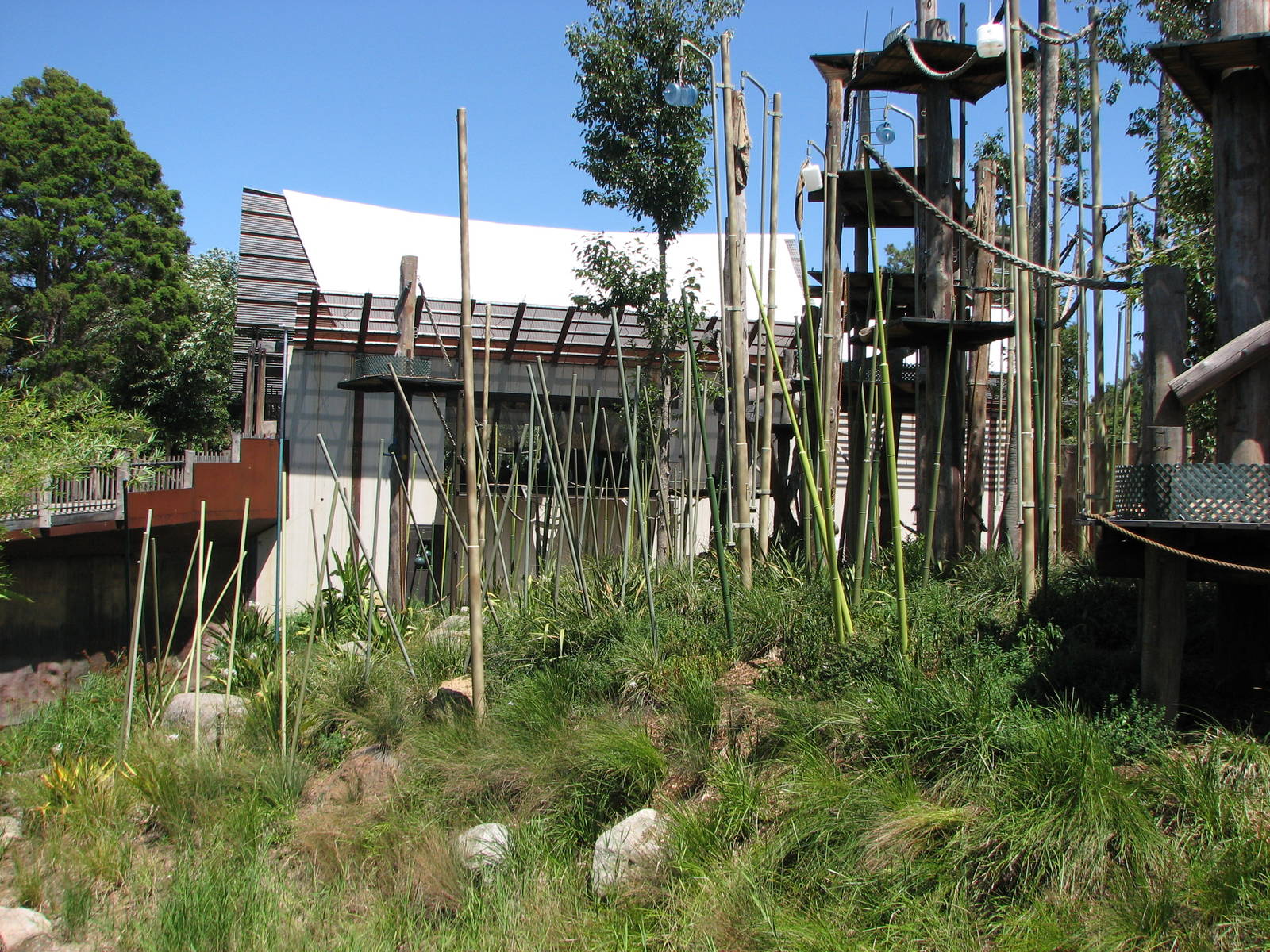 Melbourne Zoo 2008 - Siamang exhibit at the Orangutan Sanctuary