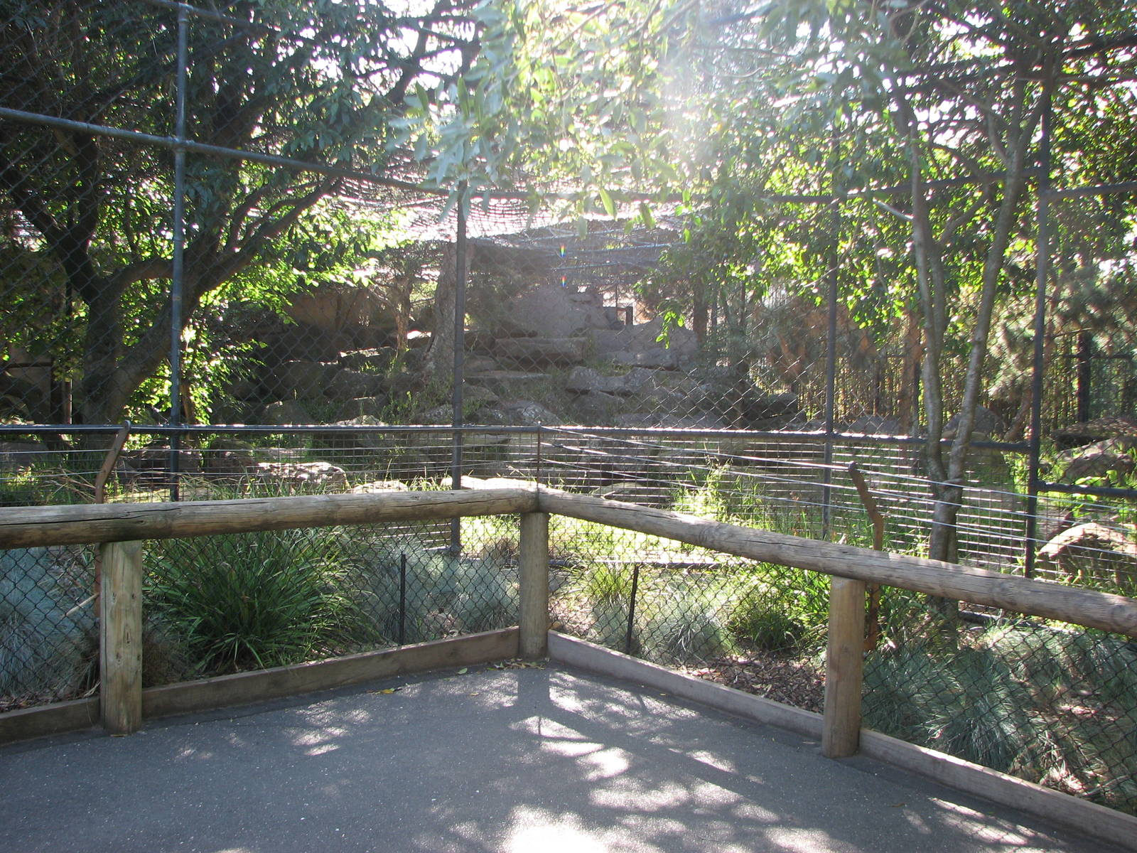 Melbourne Zoo 2008 - Snow Leopard exhibit?