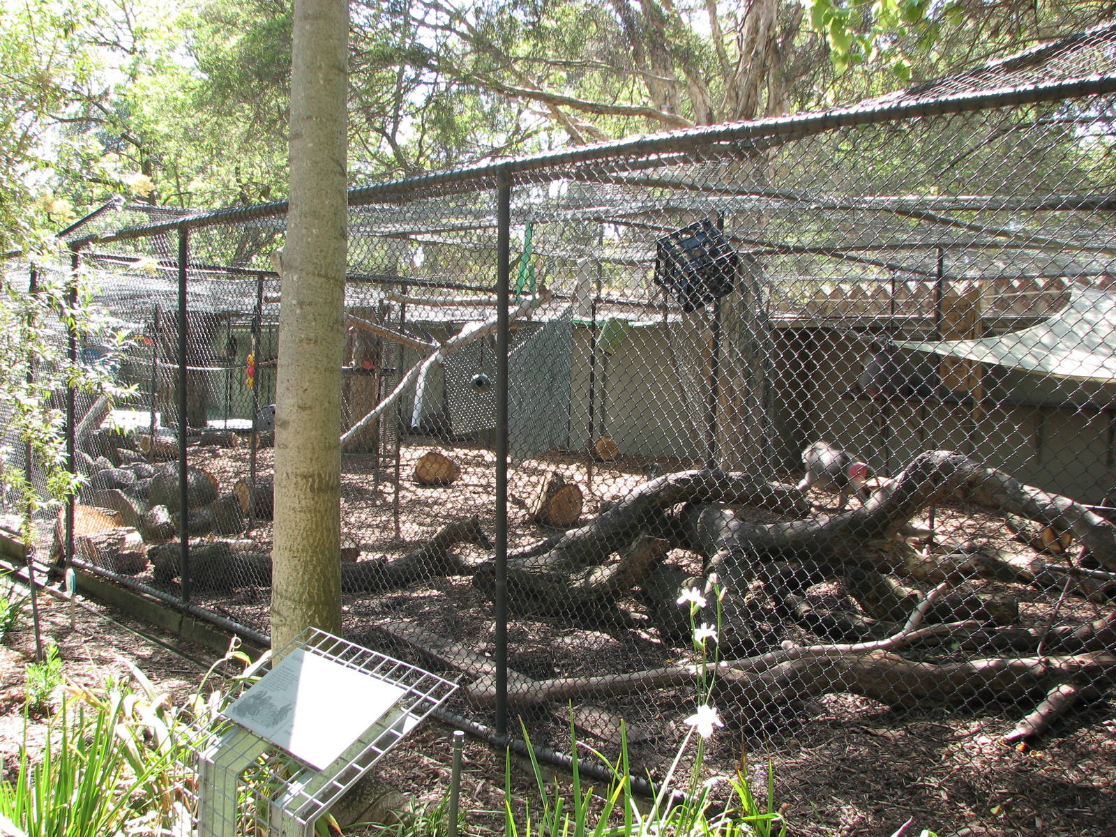 Melbourne Zoo 2008 - View into the Baboon enclosure