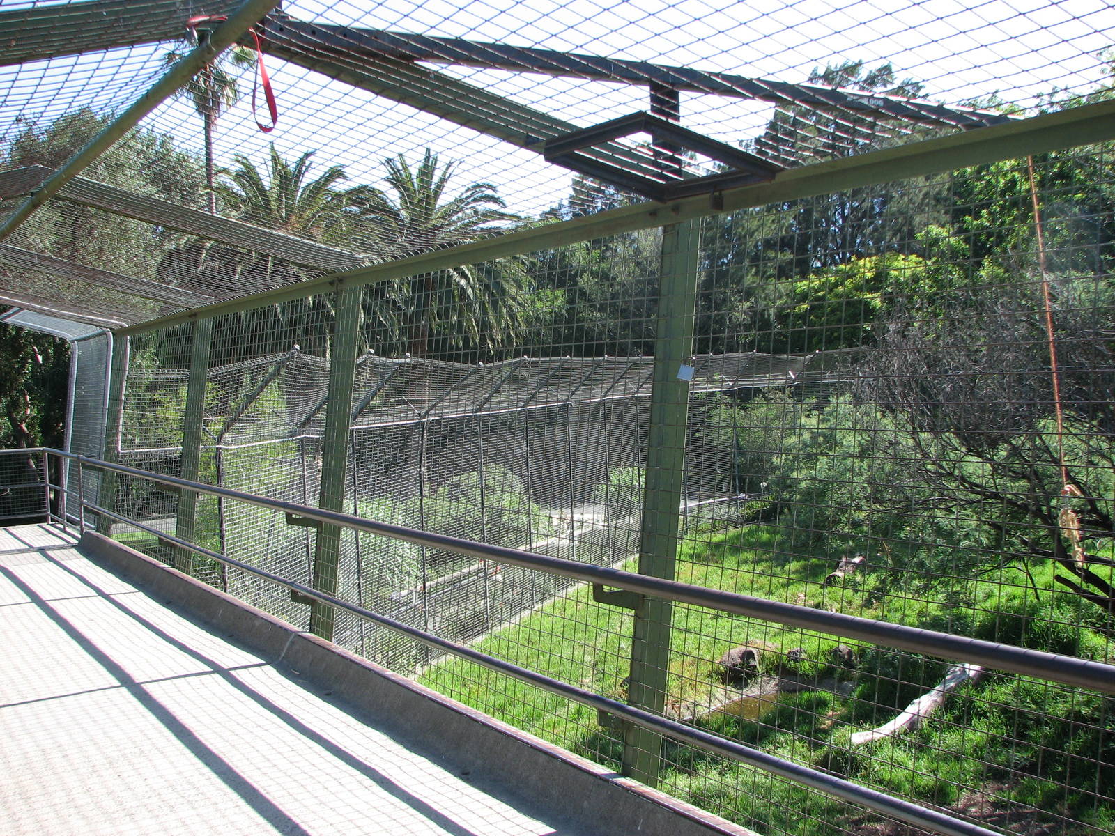 Melbourne Zoo 2008 - View into the Lion exhibit from the visitor deck
