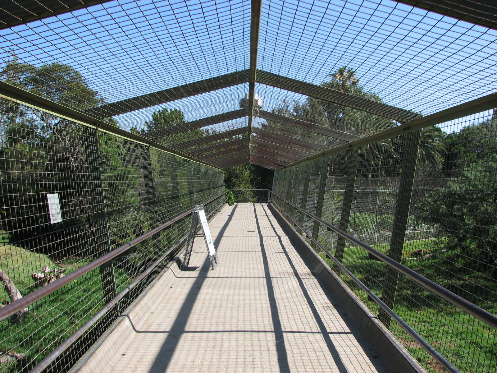 Melbourne Zoo 2008 - Visitor deck at the Wild Dog and Lion exhibits