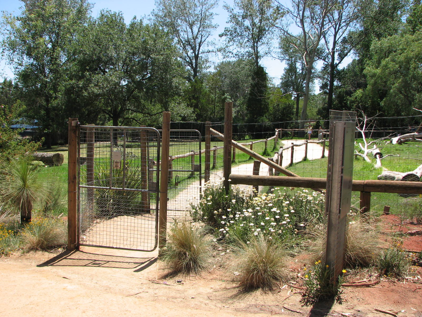Melbourne Zoo 2008 - Walk-through exhibit in the Australian Bush area