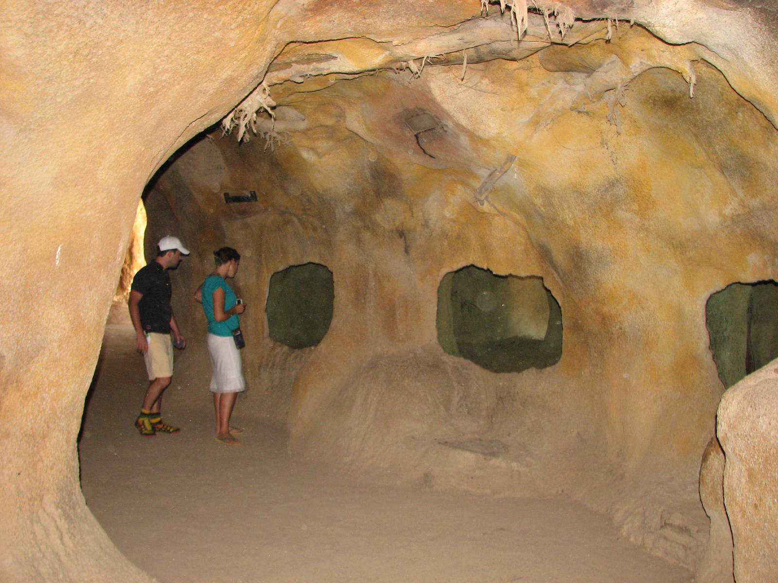 Melbourne Zoo 2008 - Wombat dens in the Australian Bush area