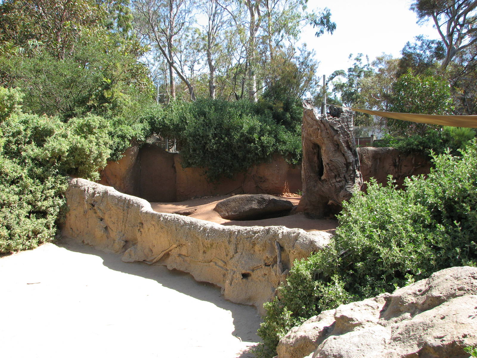 Melbourne Zoo 2008 - Wombat exhibit in the Australian Bush area