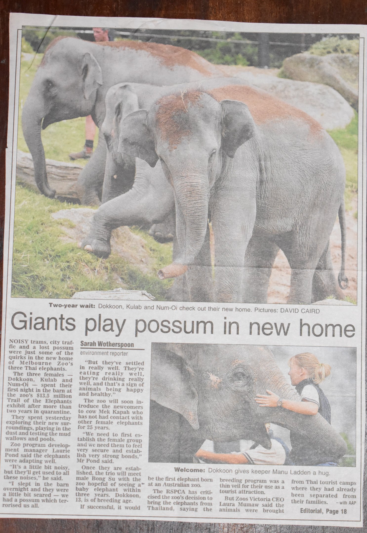 Melbourne Zoo Elephant Importation (2006)