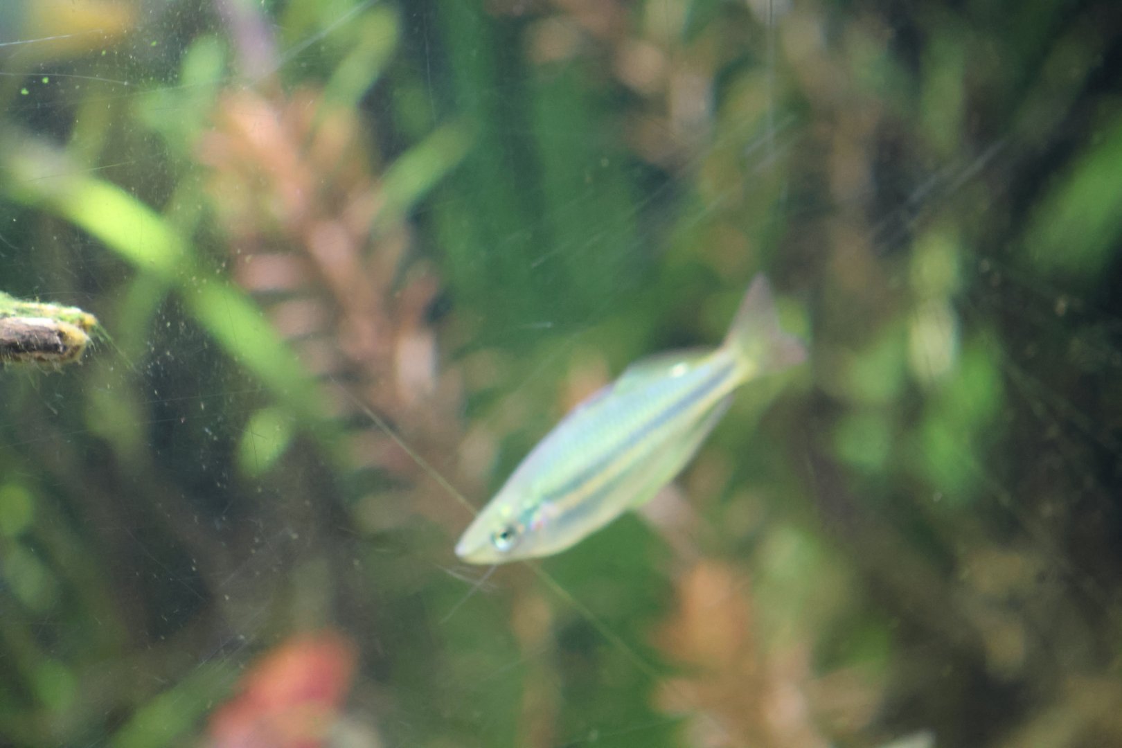 Melbourne Zoo - ID??