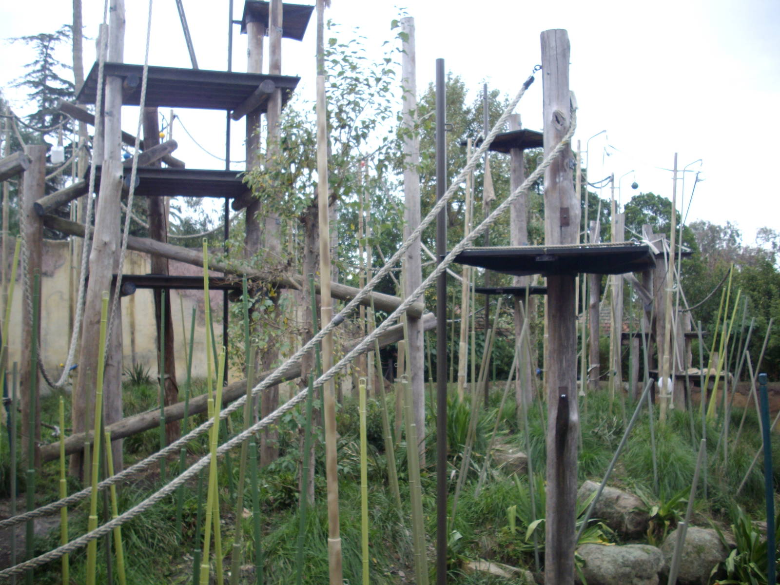 Melbourne Zoo July 2009