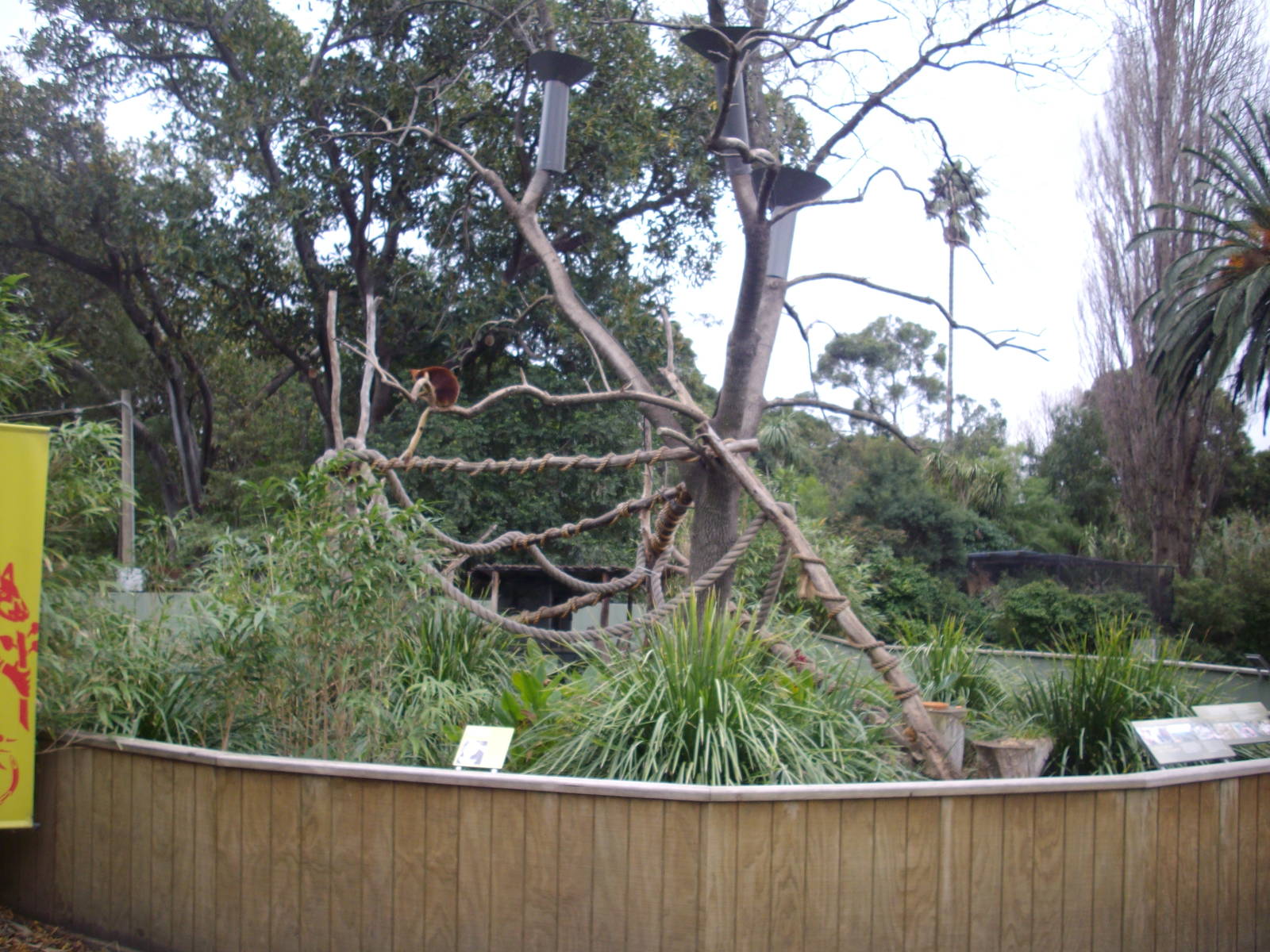 Melbourne Zoo July 2009