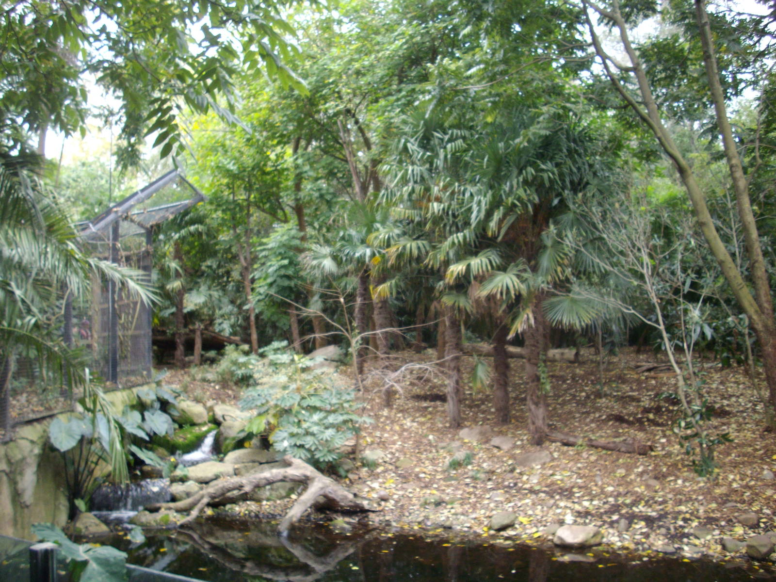 Melbourne Zoo July 2009