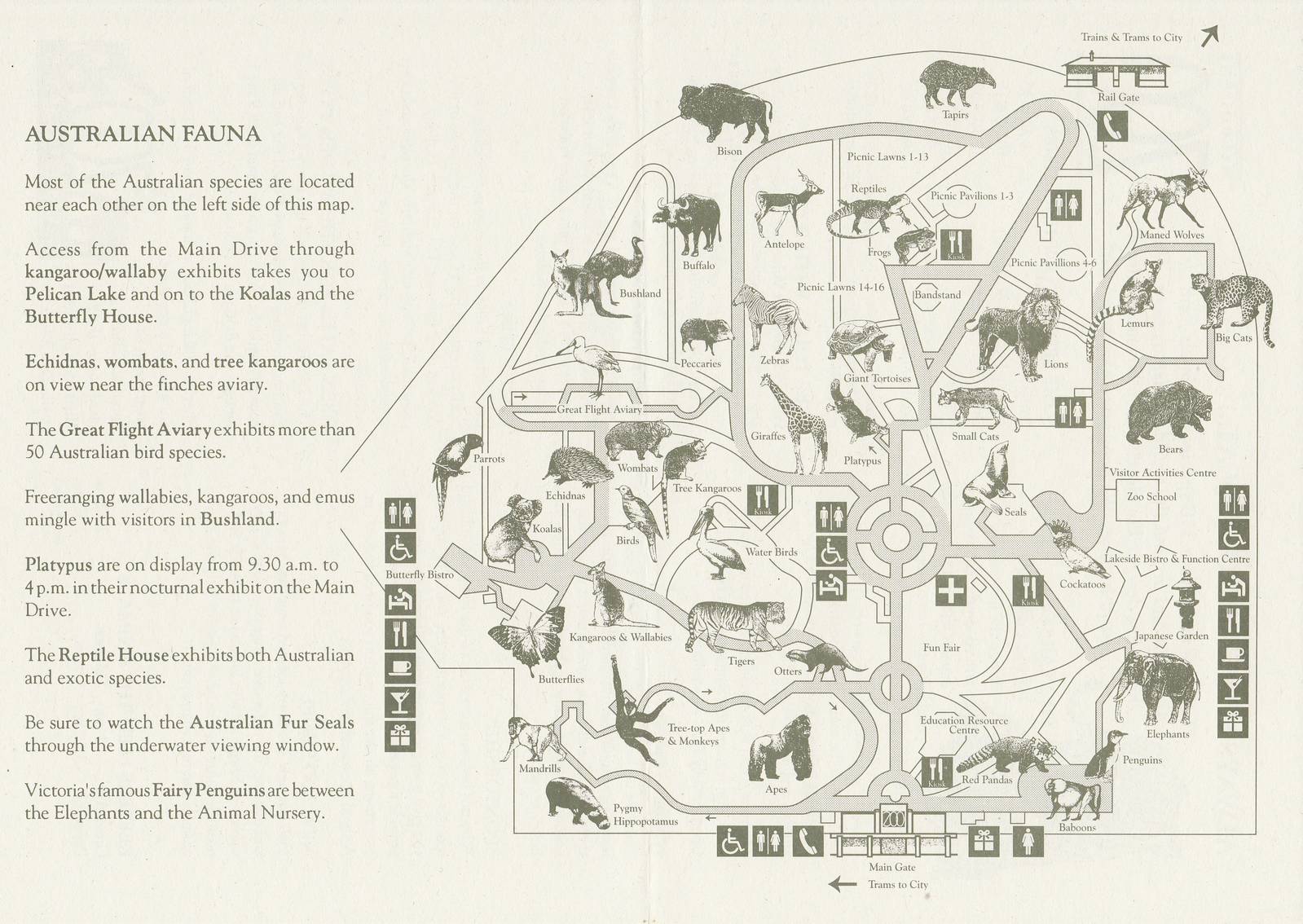 Melbourne Zoo map 1993