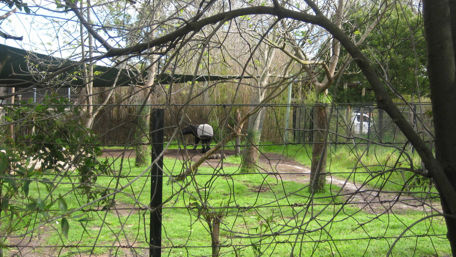 Melbourne Zoo October 2009