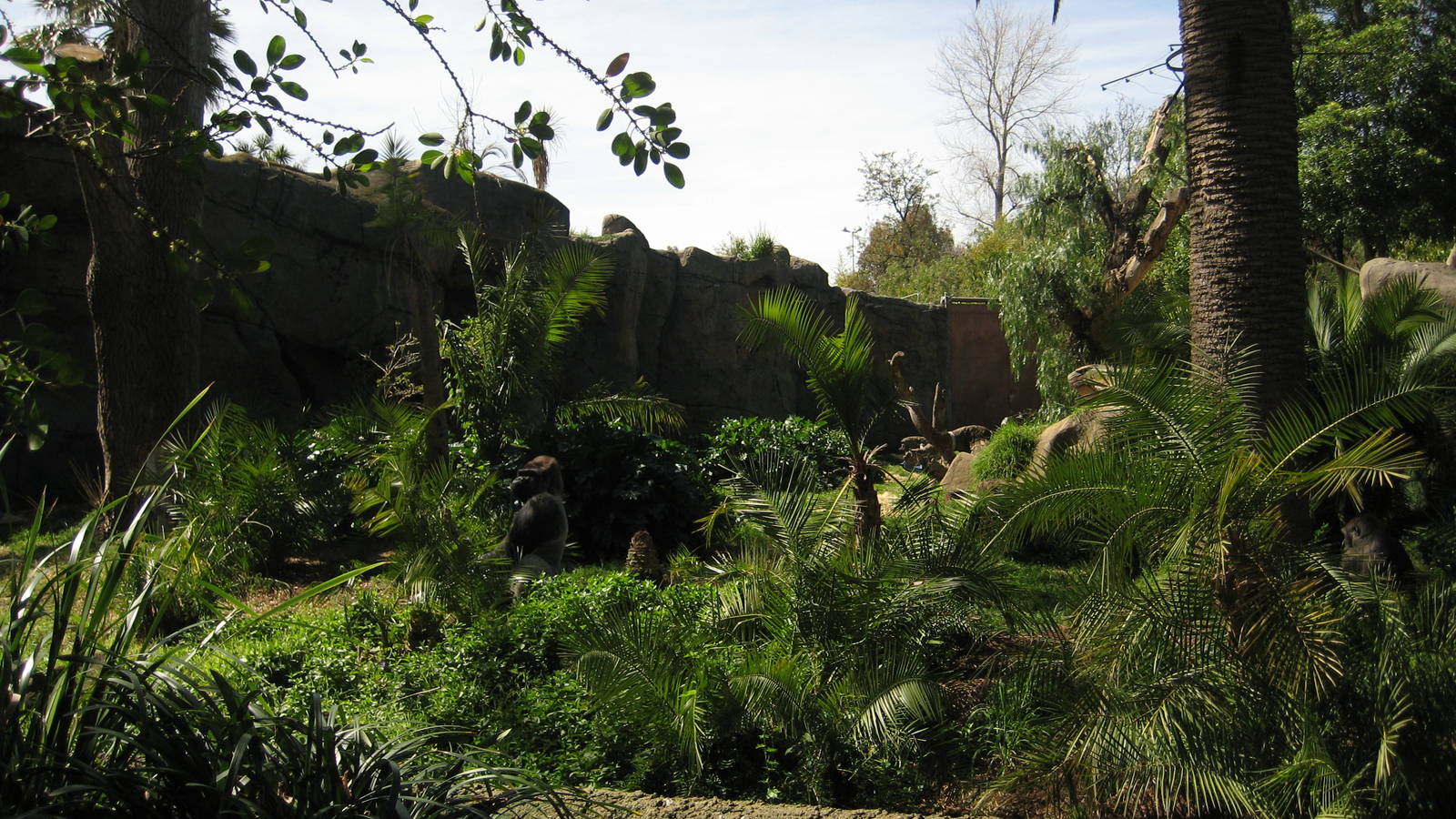 Melbourne Zoo October 2009