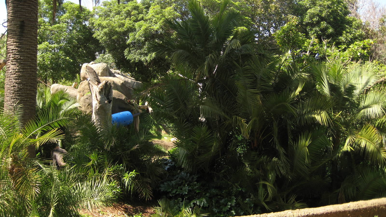 Melbourne Zoo October 2009