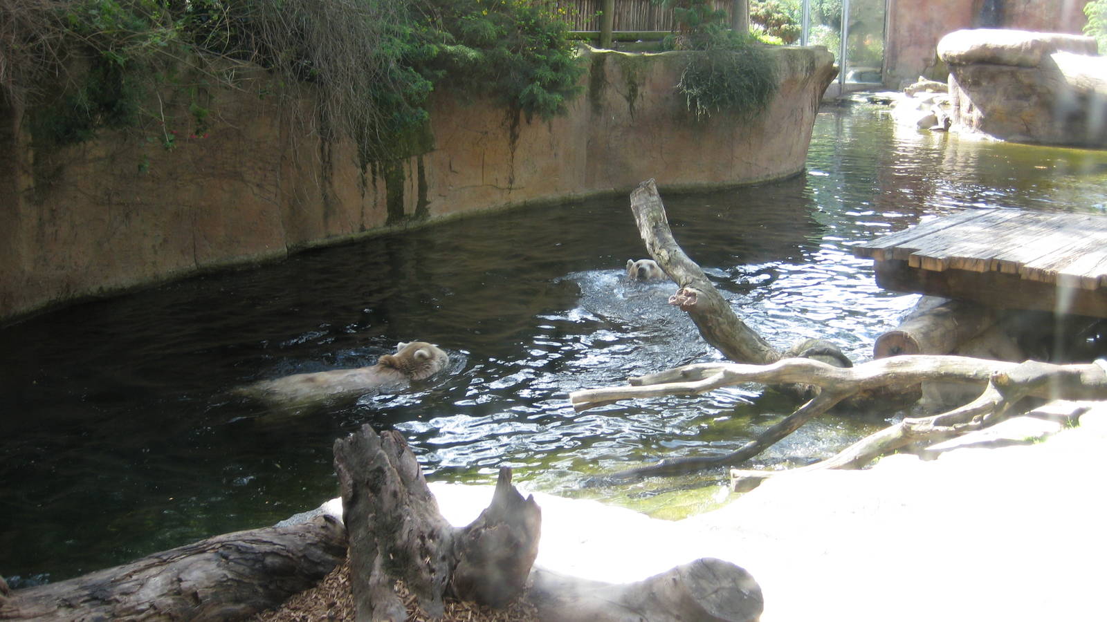 Melbourne Zoo October 2009