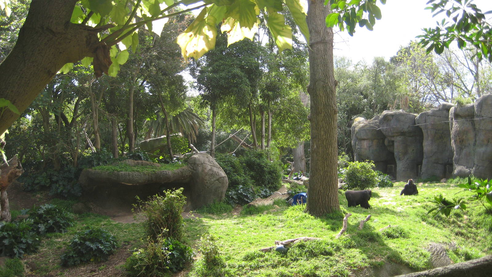 Melbourne Zoo October 2009