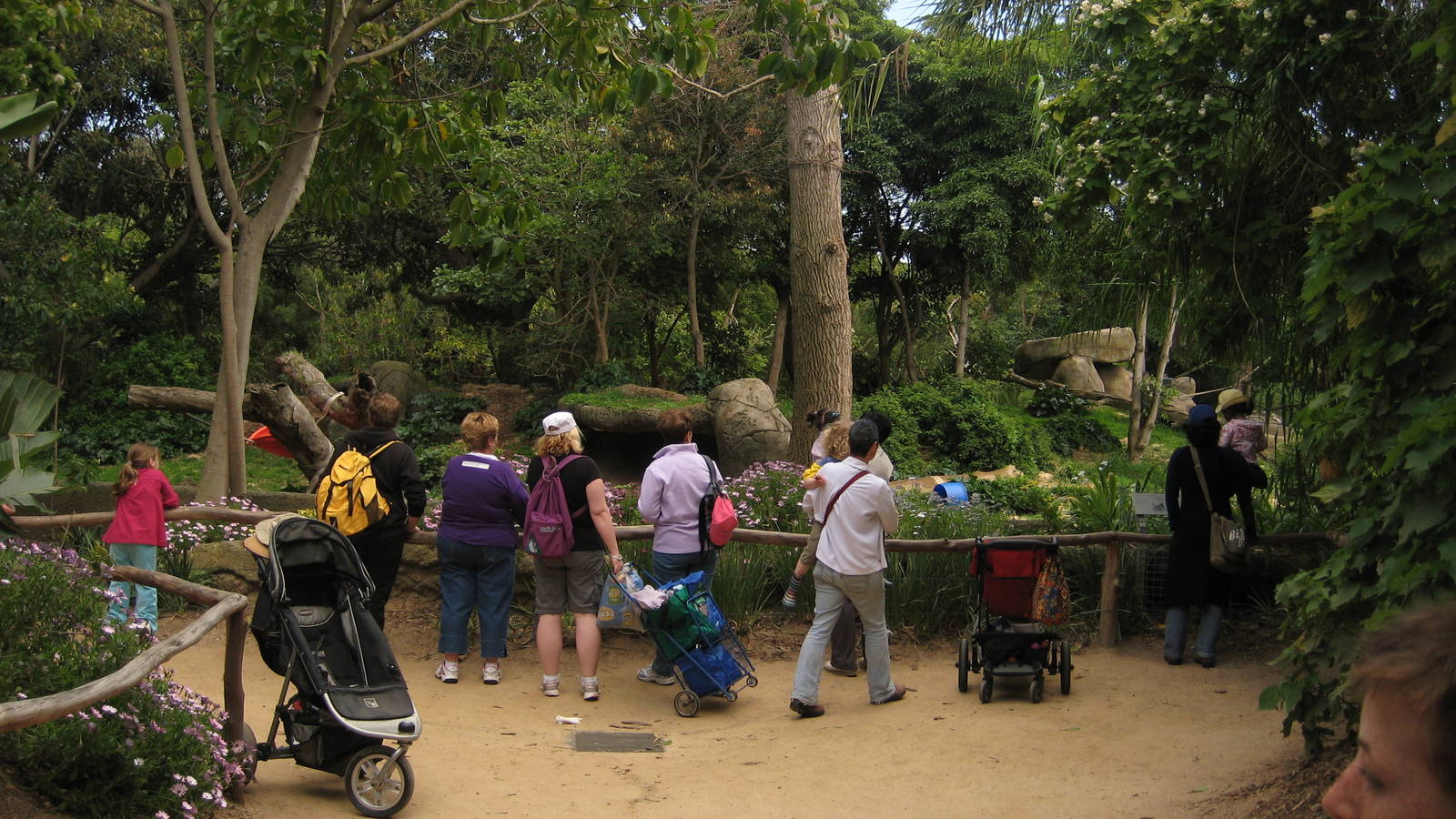 Melbourne Zoo