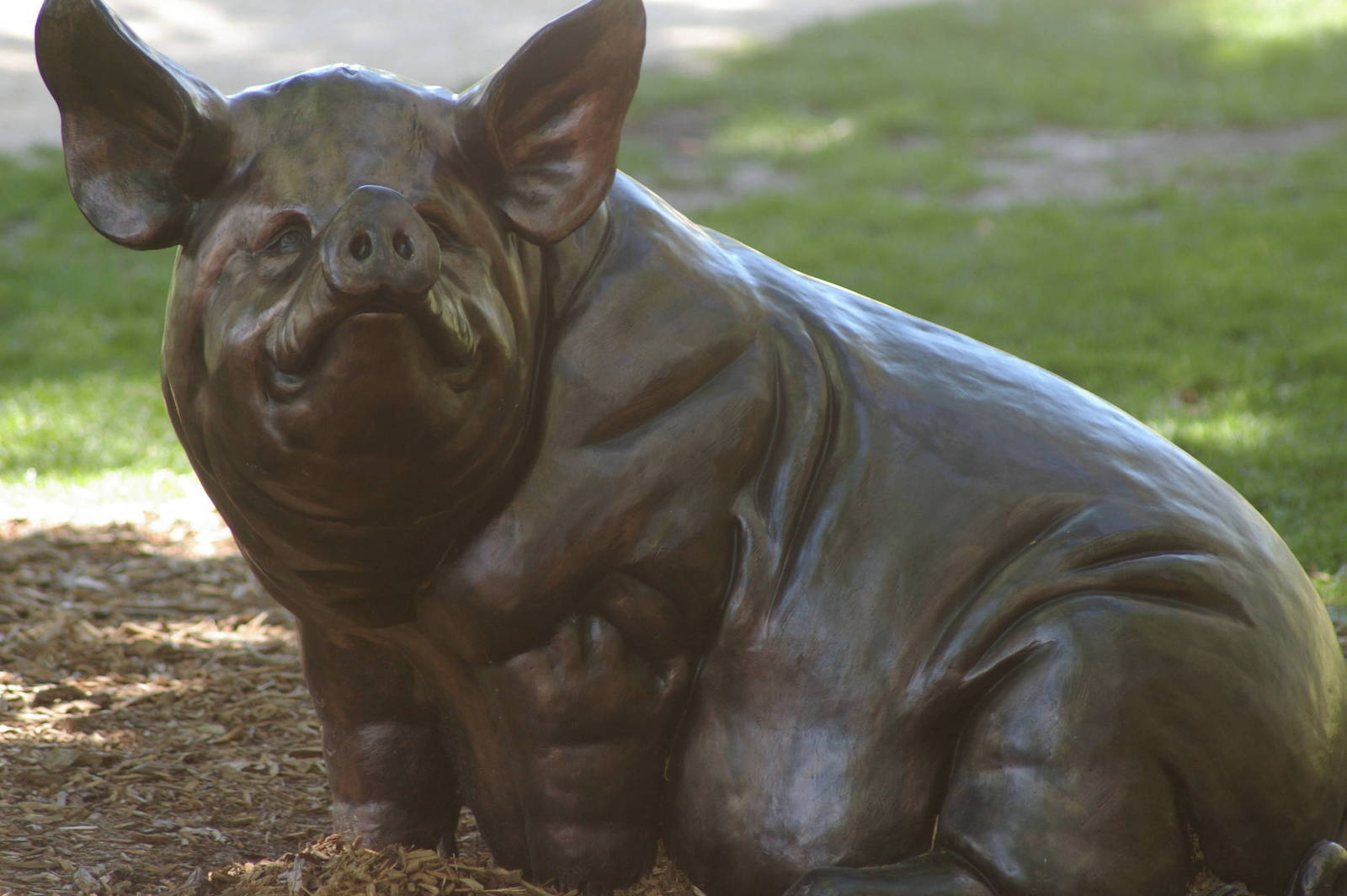 Melbourne Zoo's pig statue