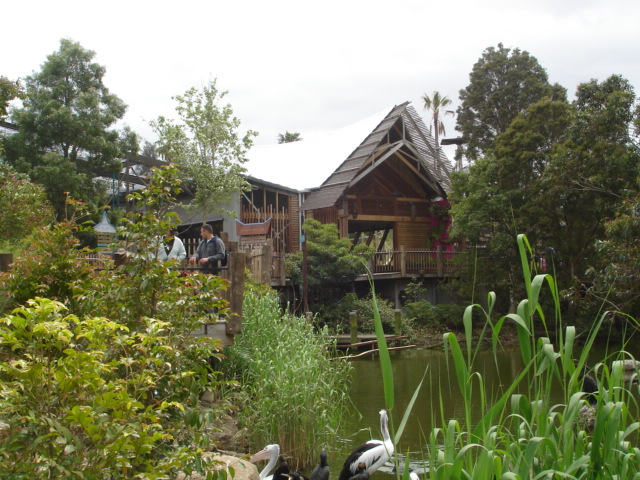 Melbourne's Orang-utan Sanctuary..