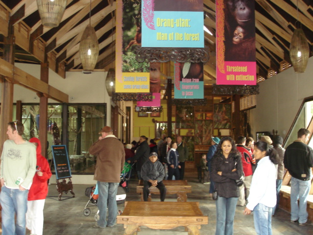 Melbourne's Orang-utan Sanctuary..