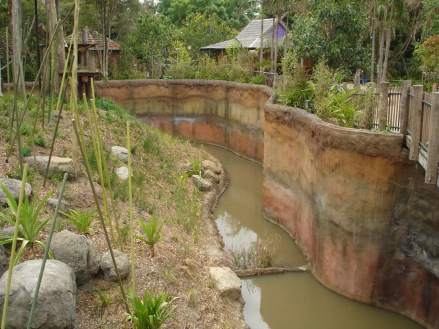 Melbourne's Orang-utan Sanctuary..