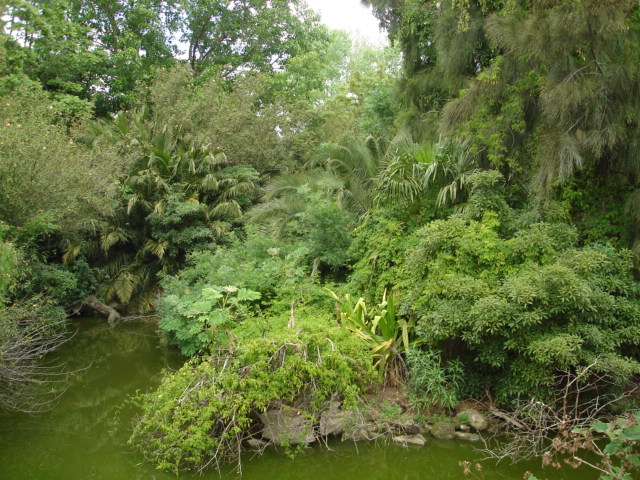 Melbourne's Orang-utan Sanctuary..