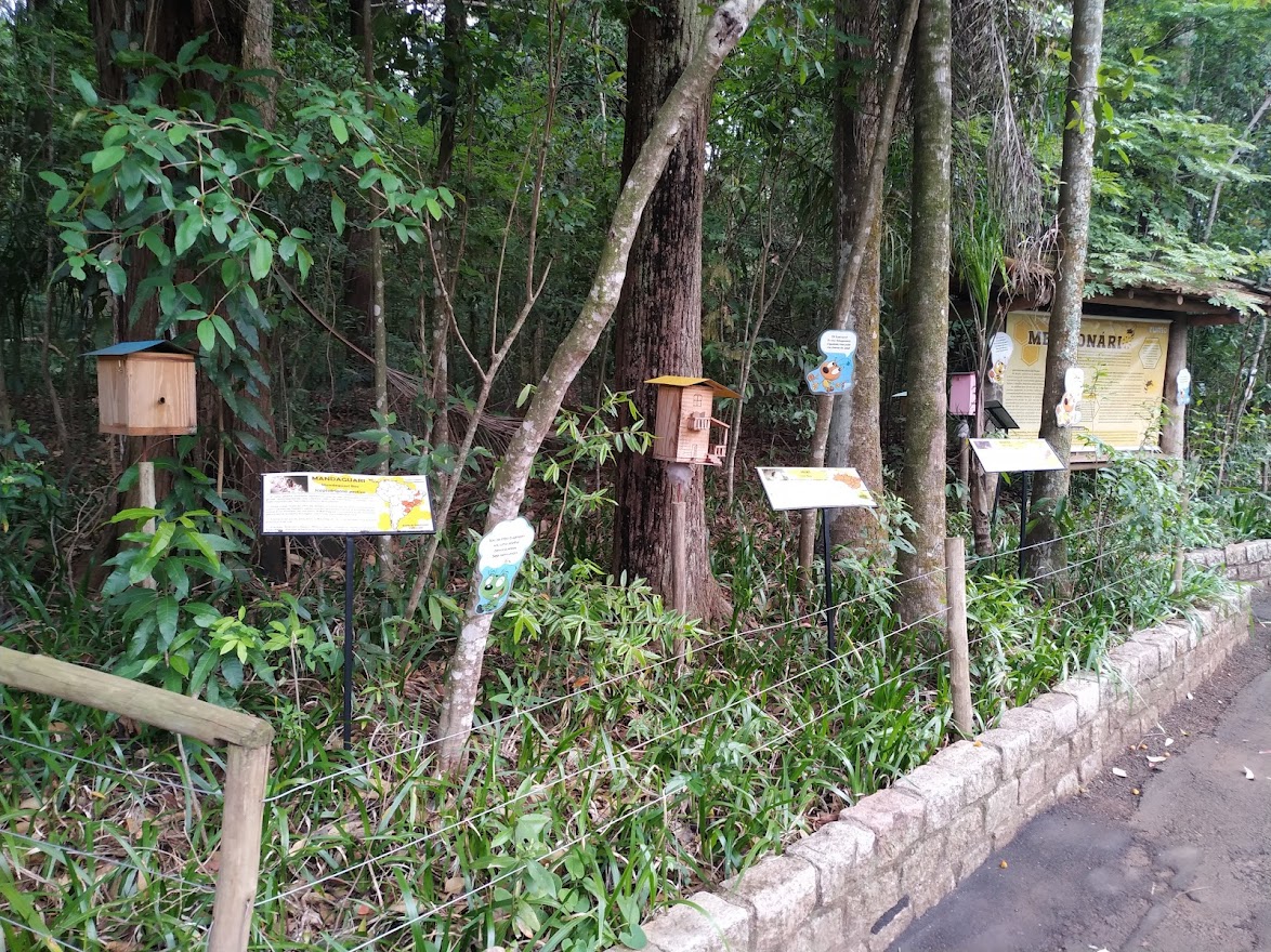 Meliponário - Melipona Beehives