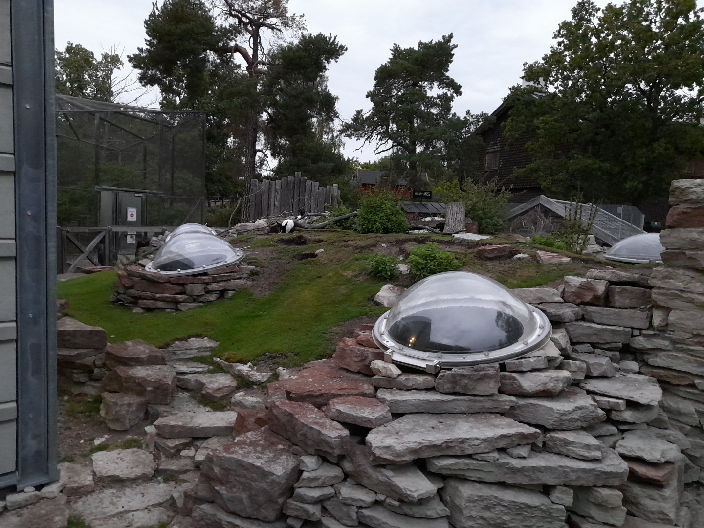 Mellerud rabbit outdoor yard