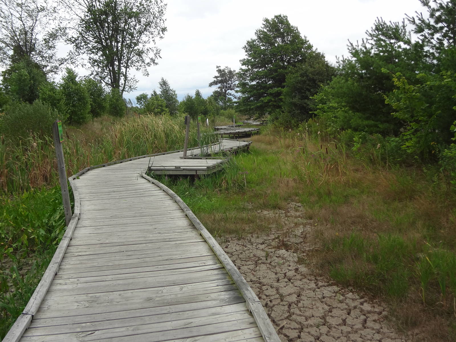 Mellow Marsh Boardwalk