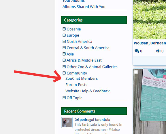 Member Gallery (for help forum)