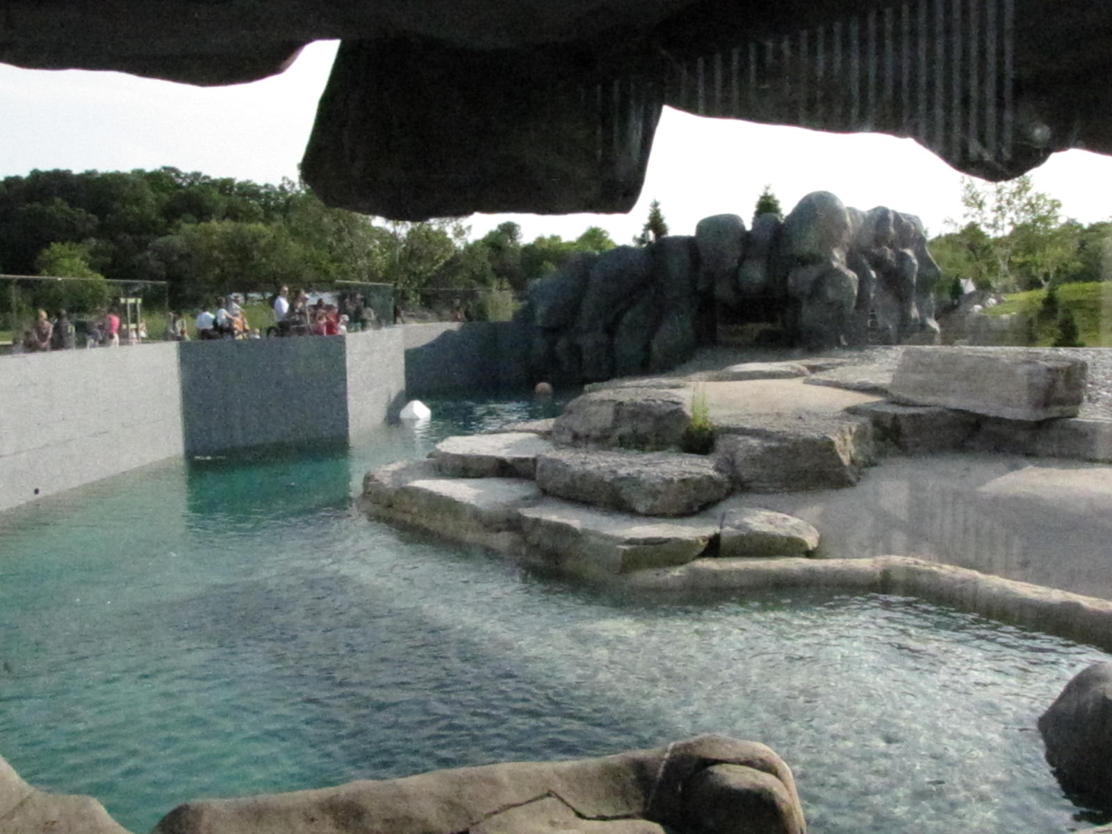 Member Preview Night Tundra Trek