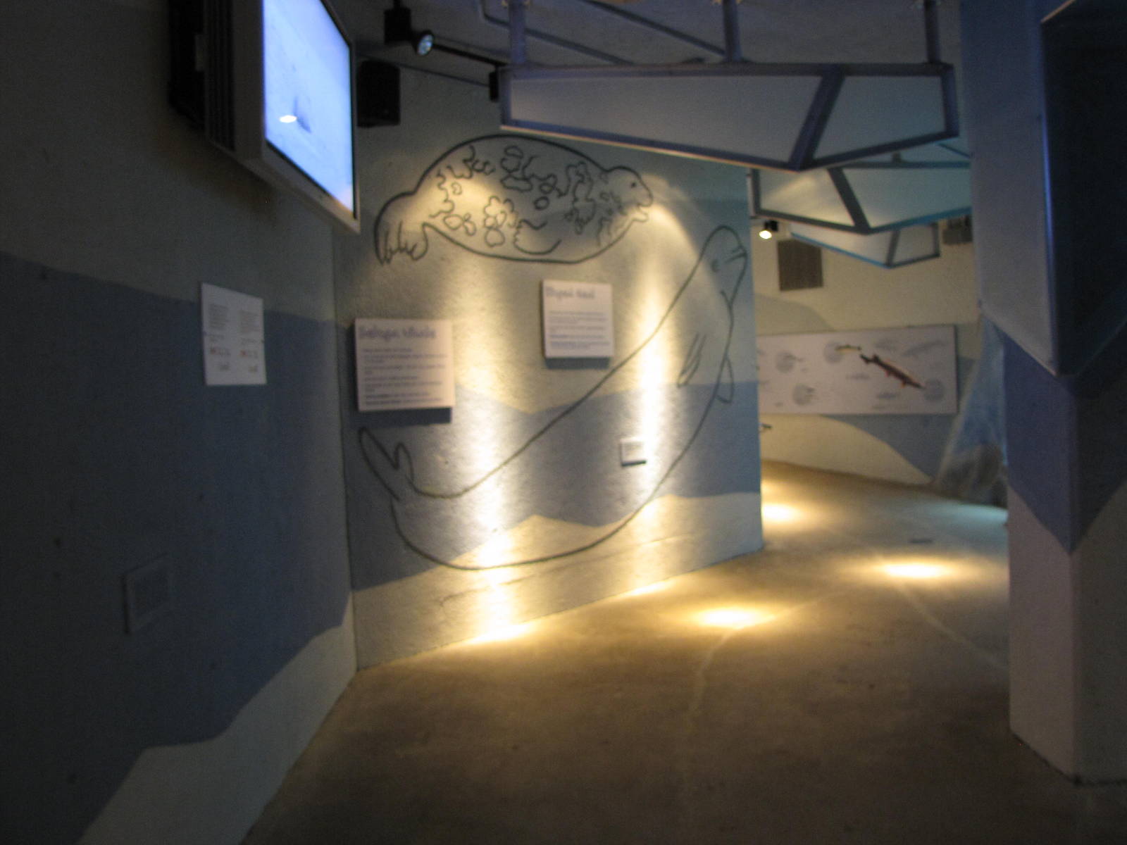 Member Preview Night Tundra Trek