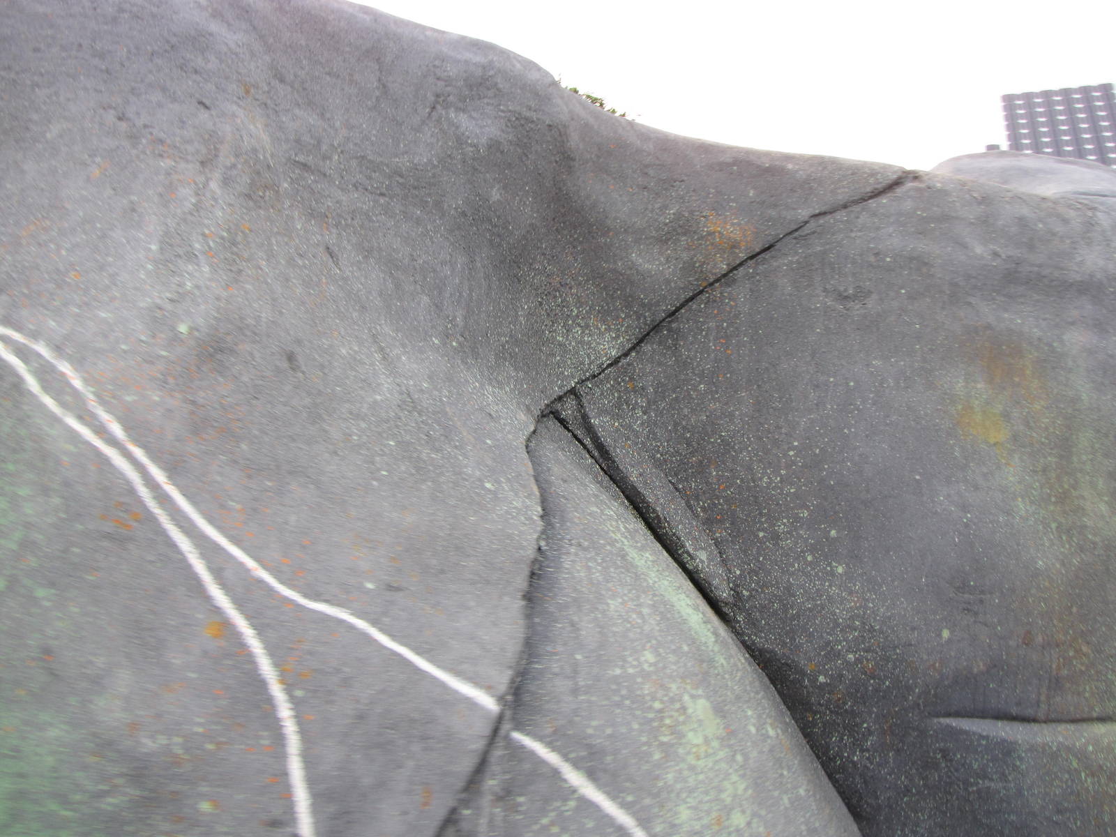 Member Preview Night Tundra Trek