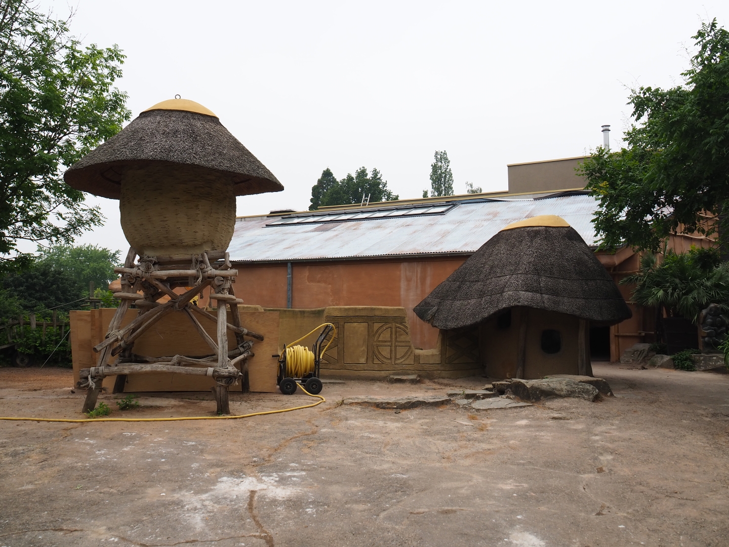 Members' preview of the new bonobo house, 2019-06-26